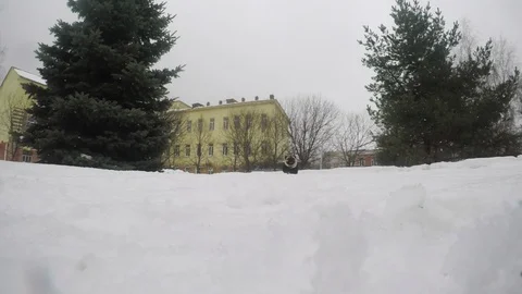 Dog pug running through the snow in slow motion Video stock 86985932