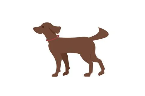 Dog with a puller. Irish Setter .Illustration. Stock Illustration