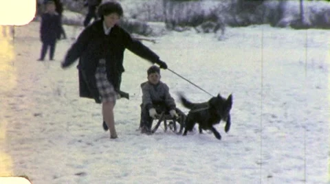 DOG PULLS SLED Boy Sledding Mom Kid 1950s Vintage Film Home Movie 5372 Stock Footage 12425904