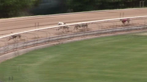 Dog Racing Track Video stock 50897709