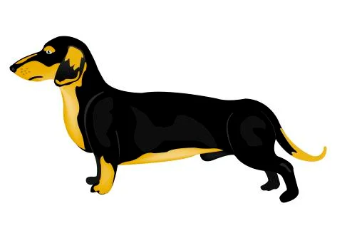 Dog rate Stock Illustration