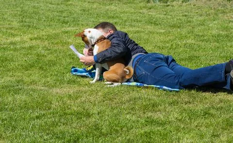 Dog reading model release form while sitting next to lying male master Stock Photos
