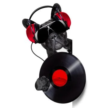 Dog record vinyl Foto stock