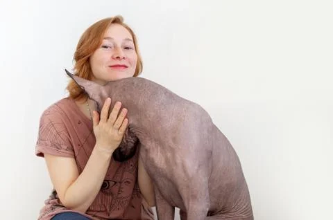The dog regrets the owner Stock Photos