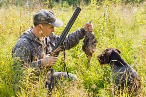 The dog returned the downed grouse to the hunter Stock Photos
