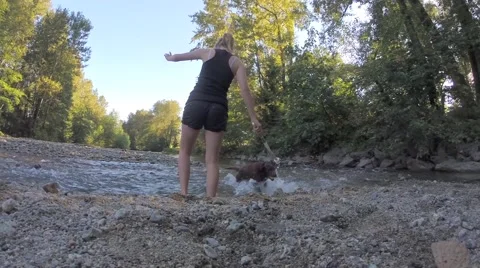 Dog returning a ball to his owner Stock Footage 41452633