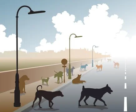 Dog road Stock Illustration