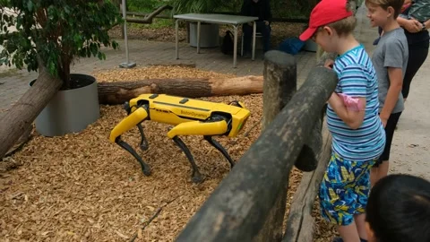 A dog like robot by Boston Dynamics and Trimble Concept robotic land surveyor. 動画素材 211400048
