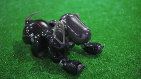 Dog Robot Plaing with ball Video stock 89591358