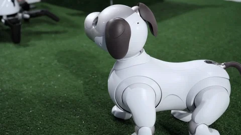 Dog robot Sony Aibo looking around. Stockbeeldmateriaal 126274205