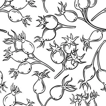 Dog rose berries vector pattern Illustrazione stock
