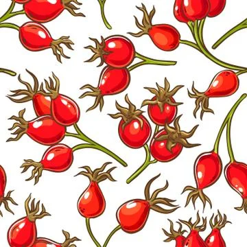 Dog rose berries vector pattern Stock Illustration