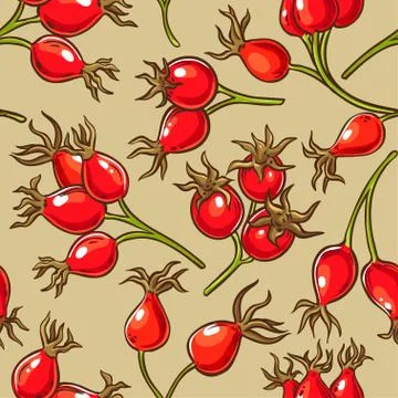 Dog rose berries vector pattern Illustrazione stock