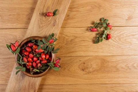 Dog-rose fruit Stock Photos