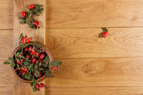 Dog-rose fruit Stock Photos
