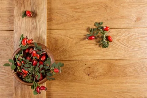 Dog-rose fruit Stock Photos