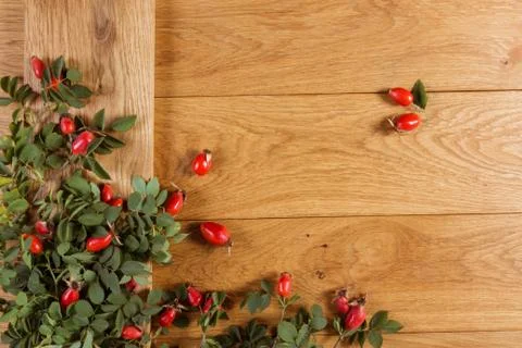 Dog-rose fruit Stock Photos