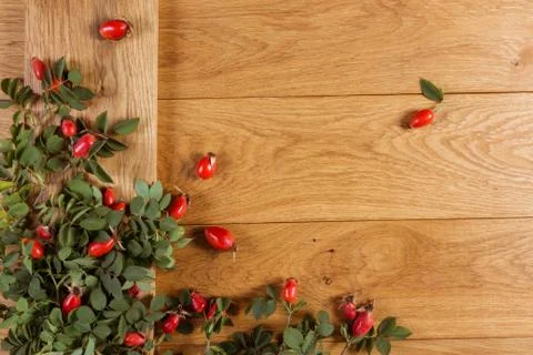 Dog-rose fruit Stock Photos
