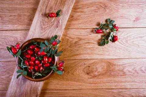 Dog-rose fruit Stock Photos
