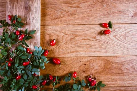 Dog-rose fruit Stock Photos