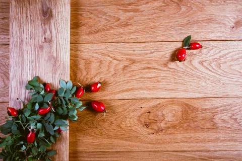 Dog-rose fruit Stock Photos