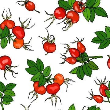 Dog rose pattern Stock Illustration