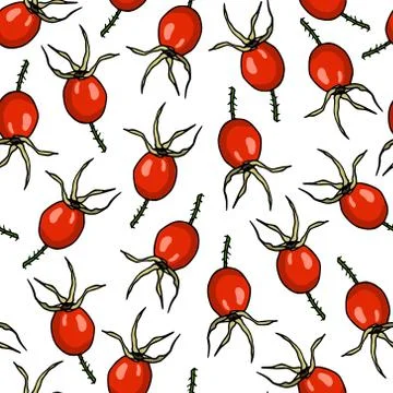 Dog rose pattern Stock Illustration