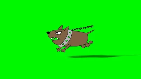 DOG RUN 2 Stock-Footage 100706338