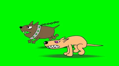 DOG RUN 3 Video stock 100708546