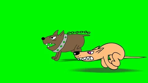 DOG RUN 3A Video stock 100708522