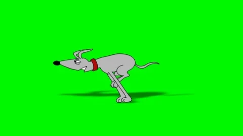 DOG RUN 5 Video stock 100756258