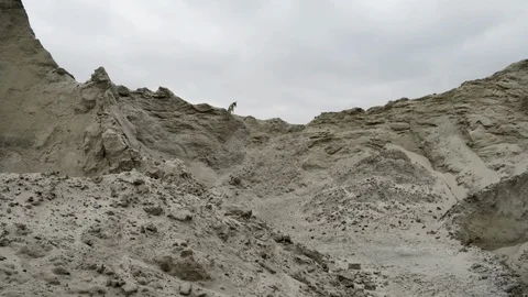 A dog running and playing alone on sand dunes in a quarry. Stock Footage 86567644