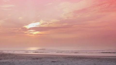 Dog Running on Beach Video stock 8557908