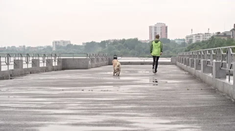 Dog Running with Boy Stock Footage