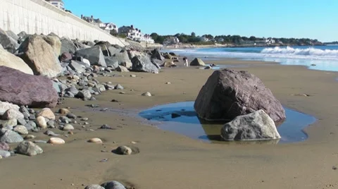 Dog running at camera on beach Stock Footage 8677509