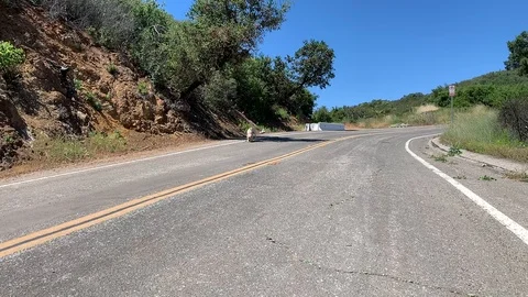 Dog running to camera in slowmo Vídeos de archivo 106965506