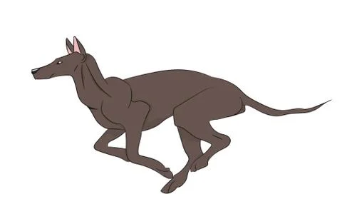 Dog running, color, vector Illustrazione stock