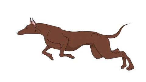 Dog running, color, vector 스톡 일러스트