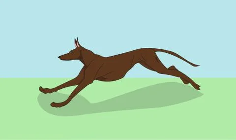 Dog running, color, vector Illustrazione stock