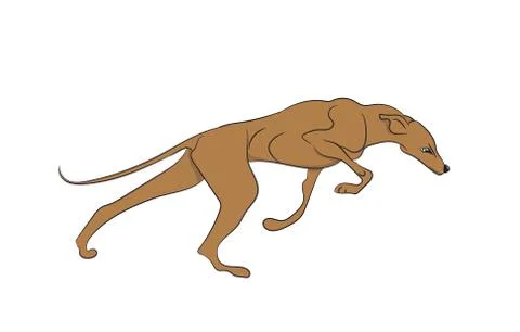 Dog running, color, vector 스톡 일러스트