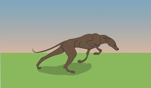 Dog running, color, vector Stock Illustration