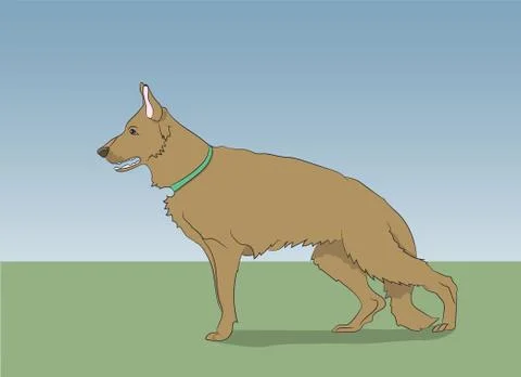 Dog running, color, vector Illustrazione stock