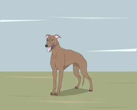 Dog running, color, vector Stock Illustration