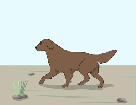 Dog running, color, vector Illustrazione stock