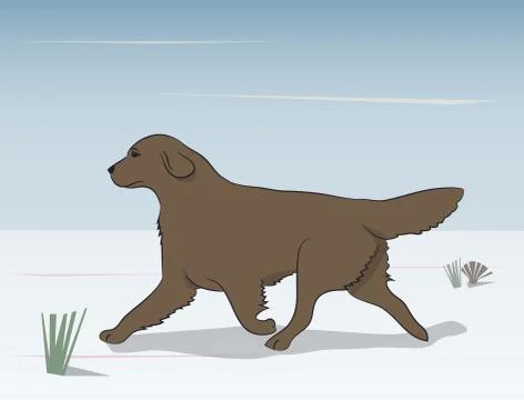 Dog running, color, vector 스톡 일러스트