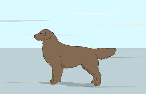 Dog running, color, vector Stock Illustration