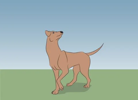 Dog running, color, vector Illustrazione stock