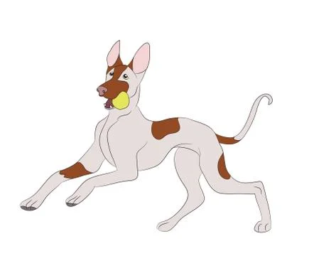 Dog running, color, vector 스톡 일러스트