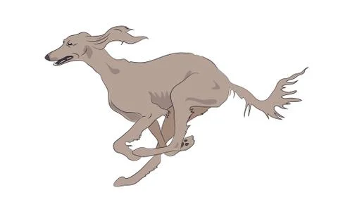 Dog running, color, vector 스톡 일러스트