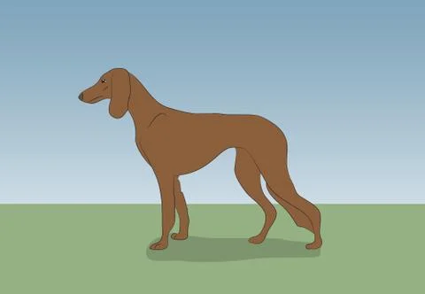 Dog running, color, vector Stock Illustration